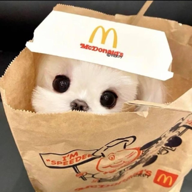 完了啊😦